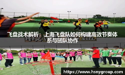 威廉希尔williamhill官方网站